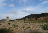 Finca rústica en venda a la España, el Fondó de les Neus, ref.: TR3068 foto