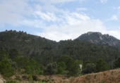 Finca rústica en venda a la España, el Fondó de les Neus, ref.: TR3068 foto