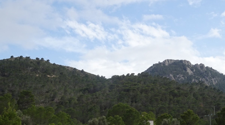 Alicante - Hondón de las Nieves - 10749m2
