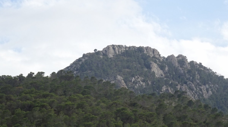 Alicante - Hondón de las Nieves - 10749m2