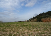 Finca rústica en venda a la España, el Fondó de les Neus, ref.: TR3068 foto
