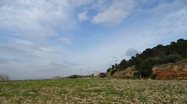 Alicante - Hondón de las Nieves - 10749m2