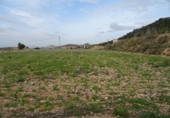 Finca rústica en venda a la España, el Fondó de les Neus, ref.: TR3068 foto