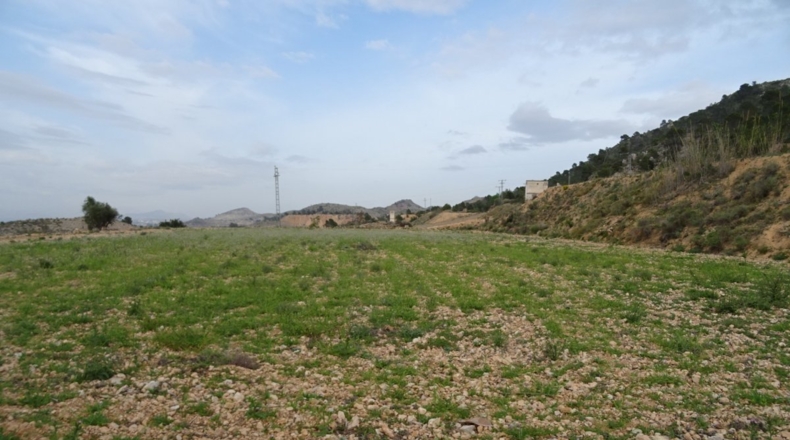 Alicante - Hondón de las Nieves - 10749m2