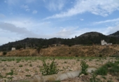 Finca rústica en venda a la España, el Fondó de les Neus, ref.: TR3068 foto