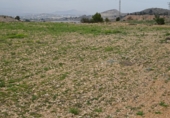Finca rústica en venda a la España, el Fondó de les Neus, ref.: TR3068 foto
