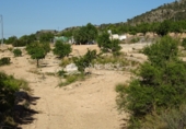 Terreny no urbanitzable en venda a la España, el Fondó de les Neus, ref.: TR3008 foto