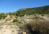 Terreny no urbanitzable en venda a la España, el Fondó de les Neus, ref.: TR3008 foto
