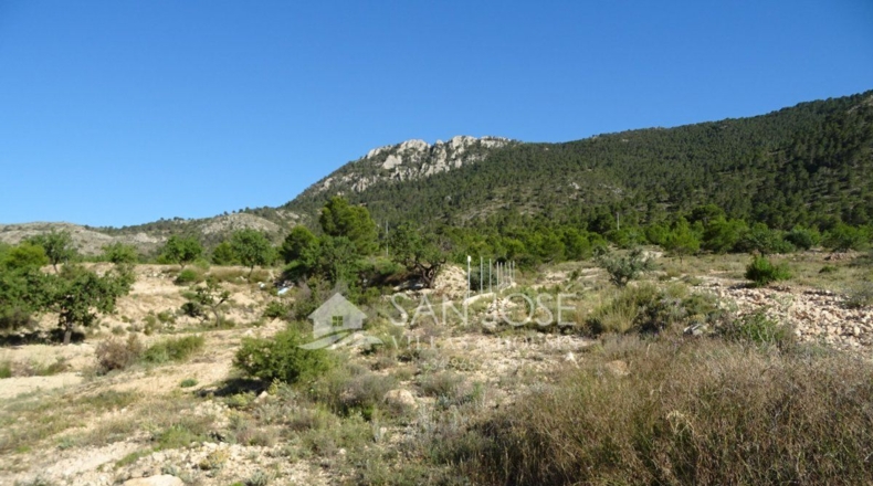 Alicante - Casas de Galiana - 7600m2