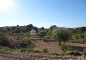 Terreny no urbanitzable en venda a la España, el Fondó de les Neus, ref.: TR3008 foto