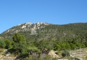 Terreny no urbanitzable en venda a la España, el Fondó de les Neus, ref.: TR3008 foto