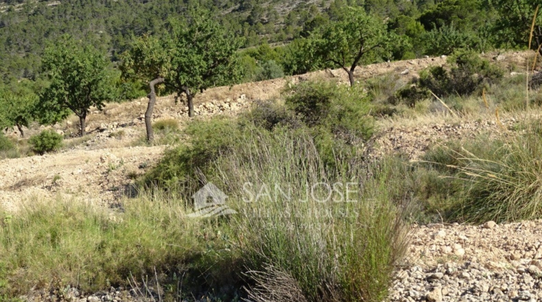 Alicante - Casas de Galiana - 7600m2