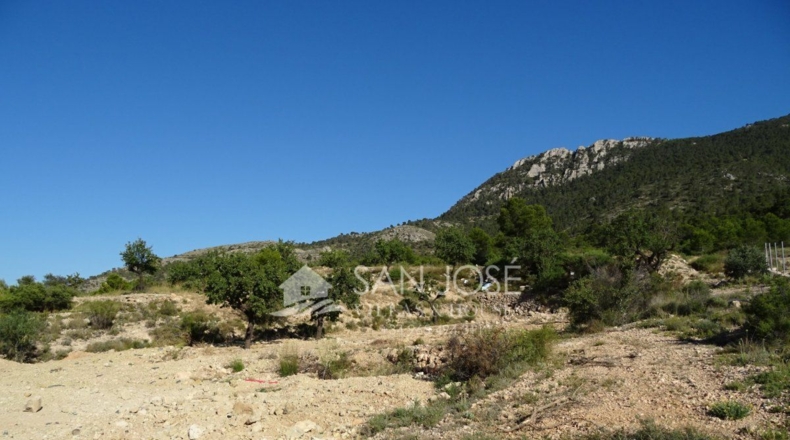Alicante - Casas de Galiana - 7600m2