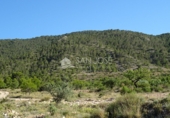 Terreny no urbanitzable en venda a la España, el Fondó de les Neus, ref.: TR3008 foto