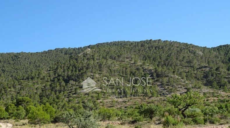 Alicante - Casas de Galiana - 7600m2