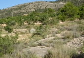 Terreny no urbanitzable en venda a la España, el Fondó de les Neus, ref.: TR3008 foto