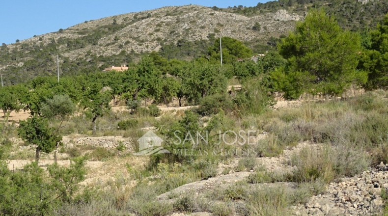 Alicante - Casas de Galiana - 7600m2