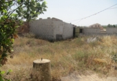 Xalet independent amb terreny en venda a la España, el Pinós, ref.: TR17377 foto