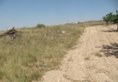 Xalet independent amb terreny en venda a la España, el Pinós, ref.: TR17377 foto