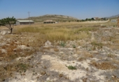 Finca rústica en venta en la España, Jumilla, ref: TR17372 foto