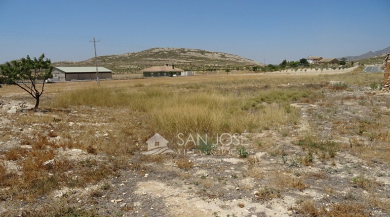 Murcia - Torre del Rico - 10000m2