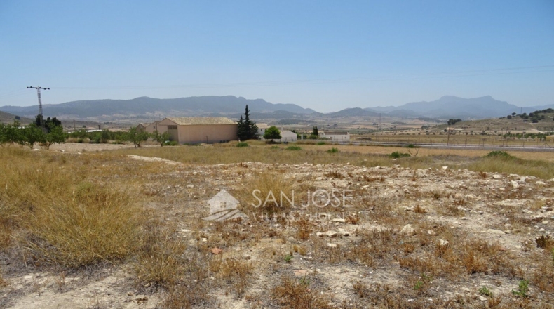 Murcia - Torre del Rico - 10000m2