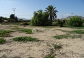 Parcel·la urbanitzable en venda a la España, Asp, ref.: TR33016 foto