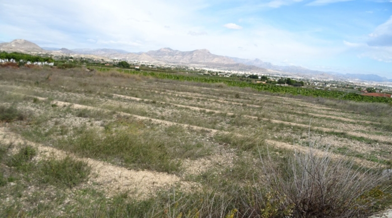 Alicante - La Columna - 8199m2