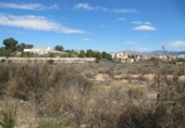 Terreny no urbanitzable en venda a la España, Monòver, ref.: TR3065 foto