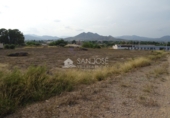 Chalet independiente con terreno en venta en la España, Aspe, ref: TR20731 foto
