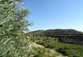 Xalet independent amb terreny en venda a la España, Asp, ref.: TR19227 foto