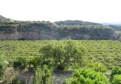 Xalet independent amb terreny en venda a la España, Asp, ref.: TR19227 foto