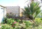 Casa de camp amb terreny en venda a la España, el Fondó de les Neus, ref.: TR32884 foto