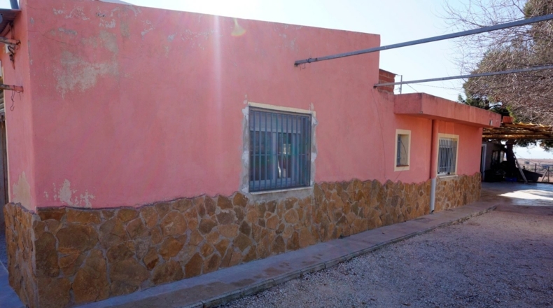 Alicante - Pinoso - 6000m2