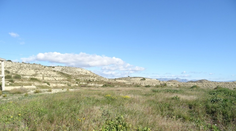Alicante - Aspe - 10000m2
