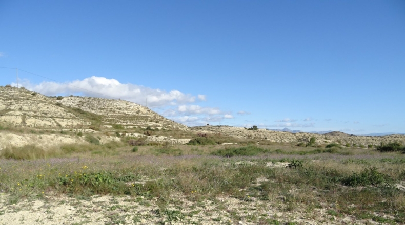 Alicante - Aspe - 10000m2
