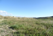 Detached villa with land for sale on España, Aspe, ref: TR23167 photo