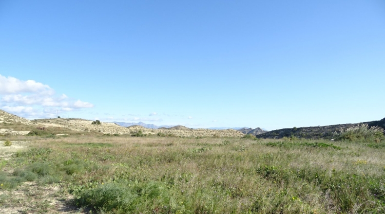 Alicante - Aspe - 10000m2