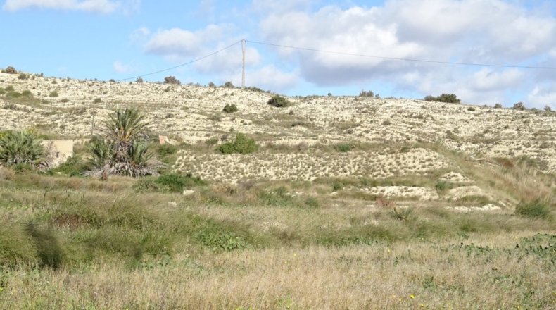 Alicante - La Columna - 20814m2