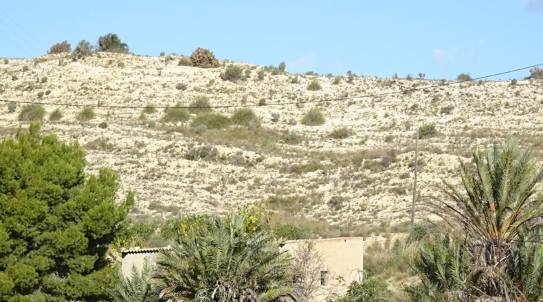 Alicante - La Columna - 20814m2