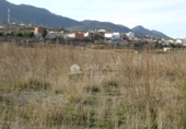 Terreny no urbanitzable en venda a la España, el Fondó de les Neus, ref.: TR2974 foto