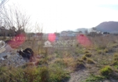 Terreny no urbanitzable en venda a la España, el Fondó de les Neus, ref.: TR2974 foto