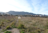 Terreny no urbanitzable en venda a la España, el Fondó de les Neus, ref.: TR2974 foto