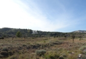 Terreny no urbanitzable en venda a la España, el Fondó de les Neus, ref.: TR2970 foto