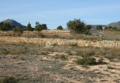 Terreny no urbanitzable en venda a la España, el Fondó de les Neus, ref.: TR2970 foto