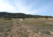Terreny no urbanitzable en venda a la España, el Fondó de les Neus, ref.: TR2970 foto