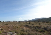 Terreny no urbanitzable en venda a la España, el Fondó de les Neus, ref.: TR2970 foto