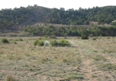 Terreny no urbanitzable en venda a la España, el Fondó de les Neus, ref.: TR2970 foto