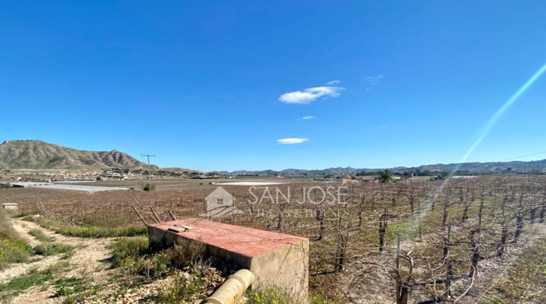 Alicante - La Columna - 11040m2