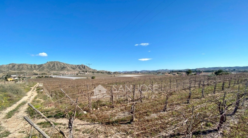 Alicante - La Columna - 11040m2